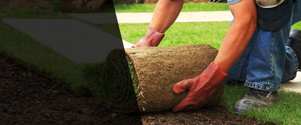 Ocean Springs Landscapers